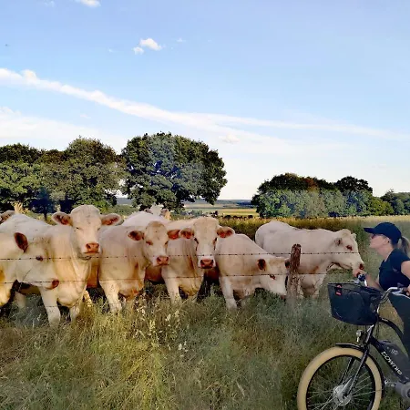 Le Moulin De Connelles