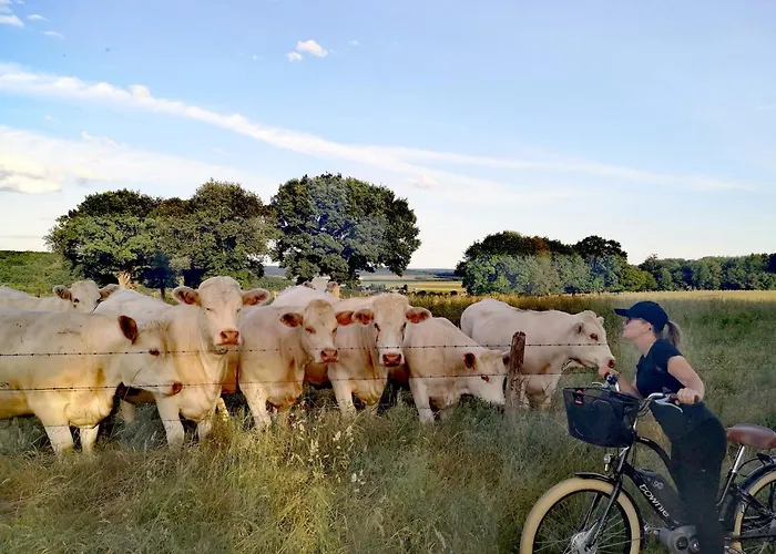 Le Moulin De Connelles